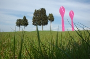 treesandspoons.jpg treesandspoons.jpg