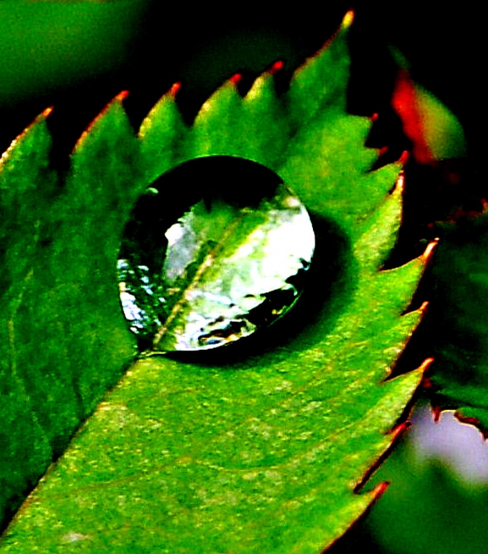 Clicca per l'immagine full size