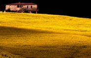 Nome File=Antonio_O.jpg
Dimensione File=361KB
Dimensioni=800x511
Data aggiunta=Giu 11, 2008 Antonio_O.jpg