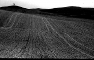 Nome File=Immagine_189.jpg
Dimensione File=132KB
Dimensioni=776x500
Data aggiunta=Mar 19, 2008 Immagine_189.jpg