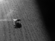 Nome File=MEO.jpg
Dimensione File=260KB
Dimensioni=800x598
Data aggiunta=Lug 22, 2013 MEO.jpg