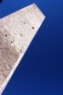 Nome File=asinelli.jpg
Dimensione File=100KB
Dimensioni=533x800
Data aggiunta=Lug 06, 2007 asinelli.jpg