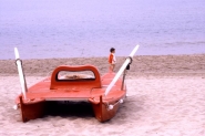 Nome File=bambino.jpg
Dimensione File=54KB
Dimensioni=800x533
Data aggiunta=Set 18, 2007 bambino.jpg