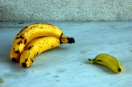 Nome File=frutta.jpg
Dimensione File=308KB
Dimensioni=900x598
Data aggiunta=Nov 25, 2011 frutta.jpg