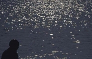 Nome File=mare-mattino.jpg
Dimensione File=94KB
Dimensioni=800x515
Data aggiunta=Giu 24, 2007 mare-mattino.jpg