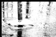 Nome File=roberto.jpg
Dimensione File=148KB
Dimensioni=800x535
Data aggiunta=Giu 09, 2008 roberto.jpg