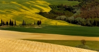 Nome File=siena1.jpg
Dimensione File=239KB
Dimensioni=816x433
Data aggiunta=Gen 04, 2010 siena1.jpg
