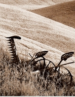 Nome File=tandem.jpg
Dimensione File=317KB
Dimensioni=550x705
Data aggiunta=Ott 07, 2009 tandem.jpg