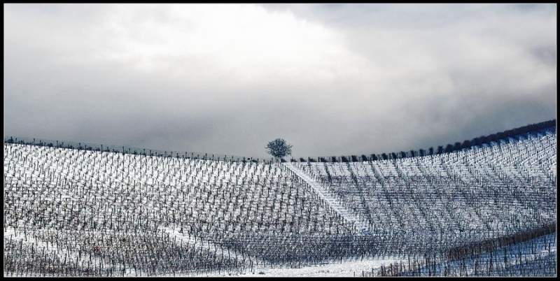 Clicca per l'immagine full size
