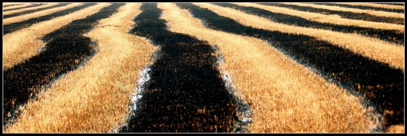 Clicca per l'immagine full size