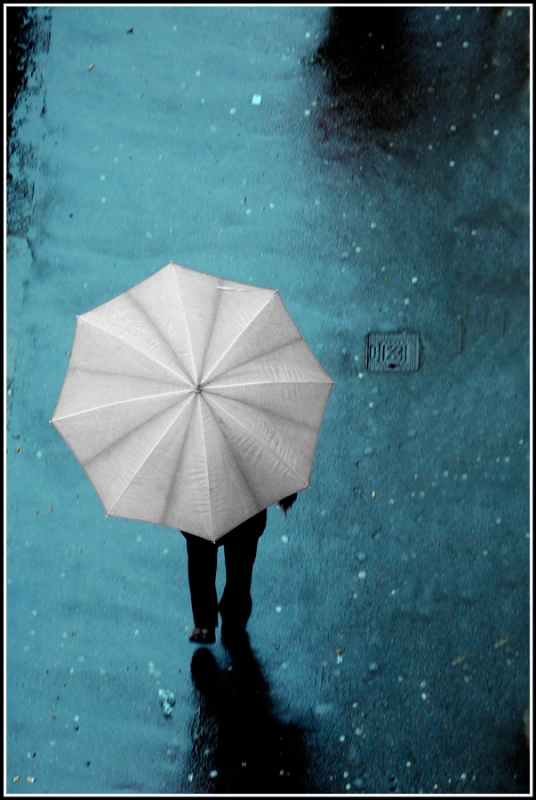 Clicca per l'immagine full size