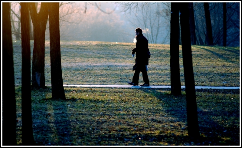 Clicca per l'immagine full size