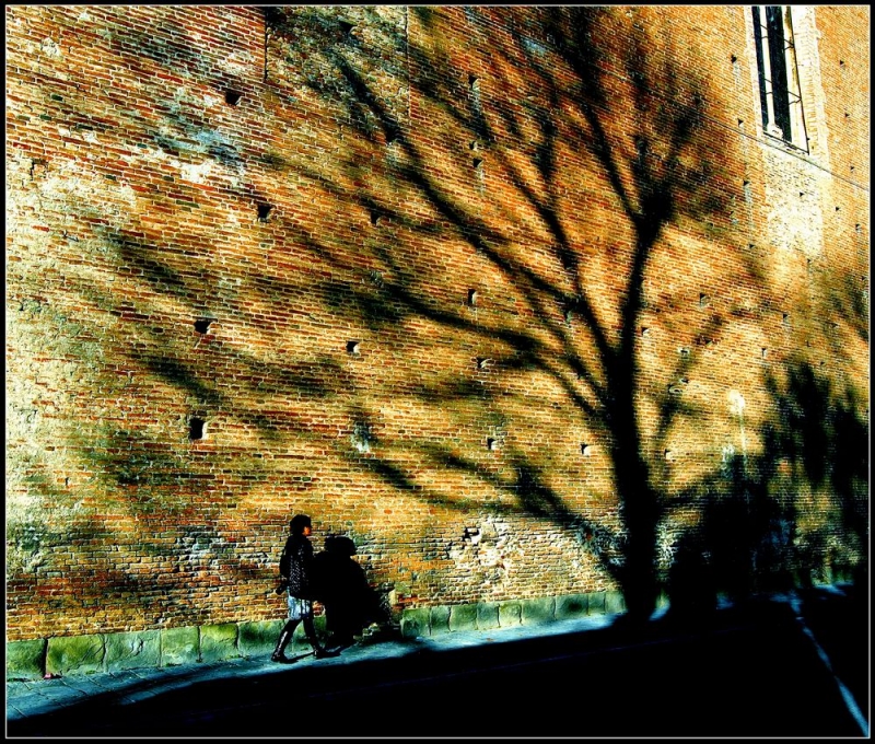 Clicca per l'immagine full size