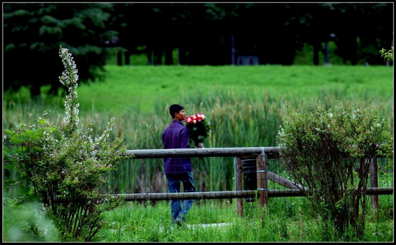 Clicca per l'immagine full size