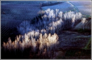 Nome File=000.jpg
Dimensione File=176KB
Dimensioni=1000x651
Data aggiunta=Mag 04, 2008 000.jpg