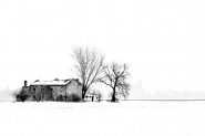 DSC_0055507.jpg DSC_0055507.jpg