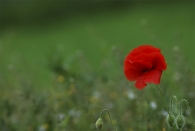 bDSC_0052.jpg