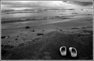 Nome File=dimenticate.jpg
Dimensione File=303KB
Dimensioni=816x534
Data aggiunta=Dic 21, 2007 dimenticate.jpg