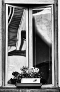 Nome File=finestra-in-Lucca.jpg
Dimensione File=165KB
Dimensioni=677x1024
Data aggiunta=Nov 28, 2011 finestra-in-Lucca.jpg