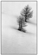 Nome File=inverno1.jpg
Dimensione File=56KB
Dimensioni=435x623
Data aggiunta=Ott 25, 2007 inverno1.jpg