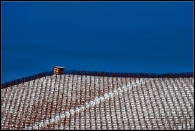 langhe_6.jpg