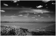 Nome File=risaie.jpg
Dimensione File=259KB
Dimensioni=862x552
Data aggiunta=Mar 29, 2008 risaie.jpg