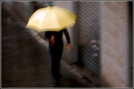 Nome File=yellow.jpg
Dimensione File=339KB
Dimensioni=1014x678
Data aggiunta=Set 15, 2008 yellow.jpg