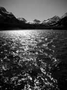 DSC03190~0.jpg