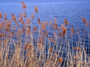Nome File=brezza.jpg
Dimensione File=379KB
Dimensioni=800x600
Data aggiunta=Giu 09, 2010 brezza.jpg