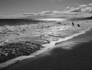 Nome File=mare.jpg
Dimensione File=258KB
Dimensioni=723x550
Data aggiunta=Giu 30, 2010 mare.jpg