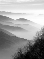 nebbia.jpg