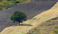 _MG_6328.jpg