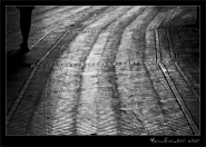 Nome File=800GambeBw.jpg
Dimensione File=196KB
Dimensioni=800x573
Data aggiunta=Set 05, 2007 800GambeBw.jpg