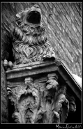 Nome File=PhotoWeb-BW_01.jpg
Dimensione File=177KB
Dimensioni=516x800
Data aggiunta=Set 20, 2007 PhotoWeb-BW_01.jpg