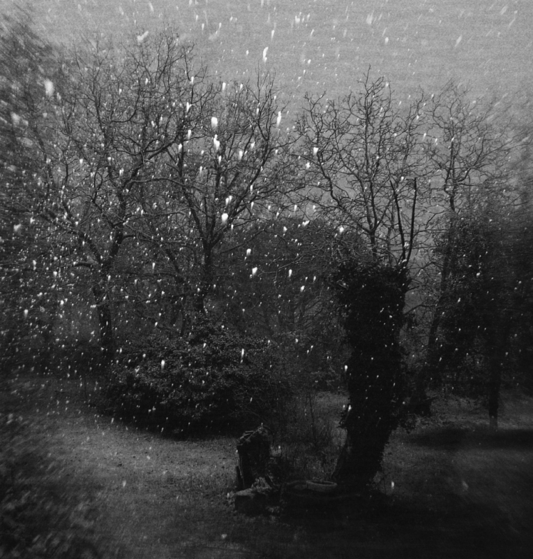 Clicca per l'immagine full size