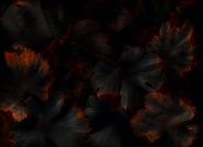 Nome File=1-vine.jpg
Dimensione File=364KB
Dimensioni=1024x743
Data aggiunta=Set 22, 2015 1-vine.jpg