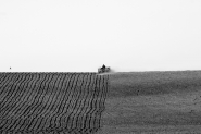Nome File=the-field.jpg
Dimensione File=178KB
Dimensioni=800x533
Data aggiunta=Apr 05, 2012 the-field.jpg