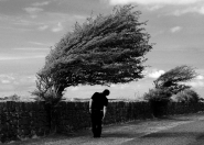 Nome File=self-in-Eire.jpg
Dimensione File=396KB
Dimensioni=1024x735
Data aggiunta=Lug 13, 2011 self-in-Eire.jpg