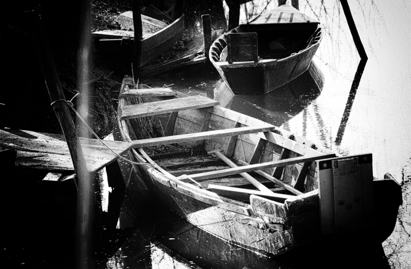 Clicca per l'immagine full size