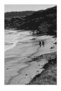 baratti.jpg