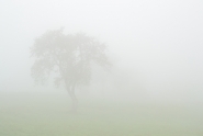 Nome File=fog.jpg
Dimensione File=352KB
Dimensioni=1200x807
Data aggiunta=Nov 01, 2013 fog.jpg