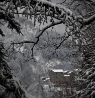 inverno_copia.jpg inverno_copia.jpg