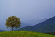 Nome File=mugello_verde.jpg
Dimensione File=451KB
Dimensioni=1200x814
Data aggiunta=Ago 31, 2015 mugello_verde.jpg