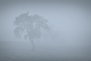 Nome File=nebbia.jpg
Dimensione File=487KB
Dimensioni=1200x807
Data aggiunta=Ott 30, 2014 nebbia.jpg