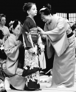 Nome File=vestizione_kimono.jpg
Dimensione File=511KB
Dimensioni=986x1200
Data aggiunta=Dic 01, 2019 vestizione_kimono.jpg