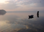 anguillara.jpg