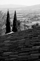 IMG_0025~0.JPG