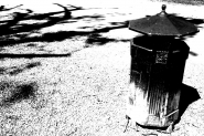 IMG_0051.JPG