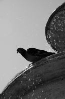 IMG_0073.JPG
