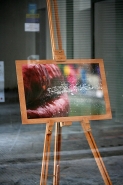 IMG_0237~1.JPG